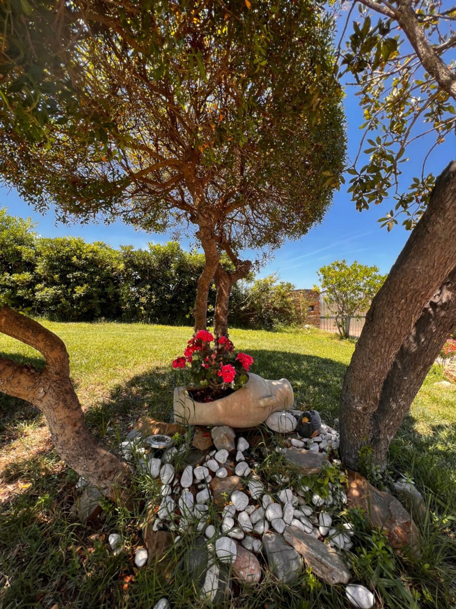Villa Patrizia Stintino Exteriör bild